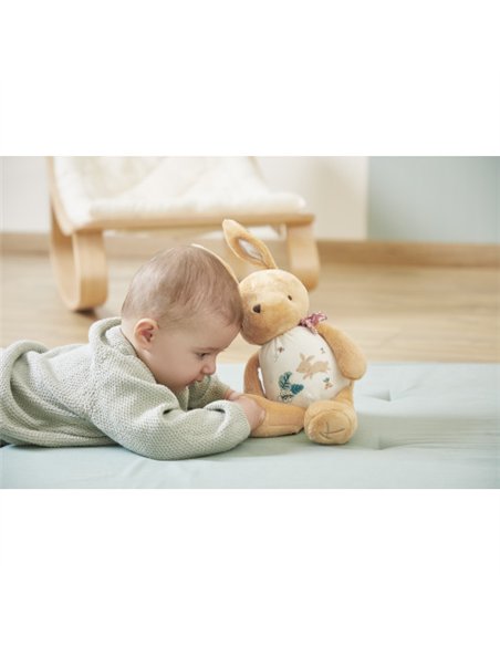 PELUCHE A SON LAPIN - Kaloo