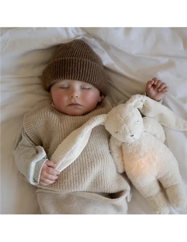 Moonie – lapin nature bio sable
