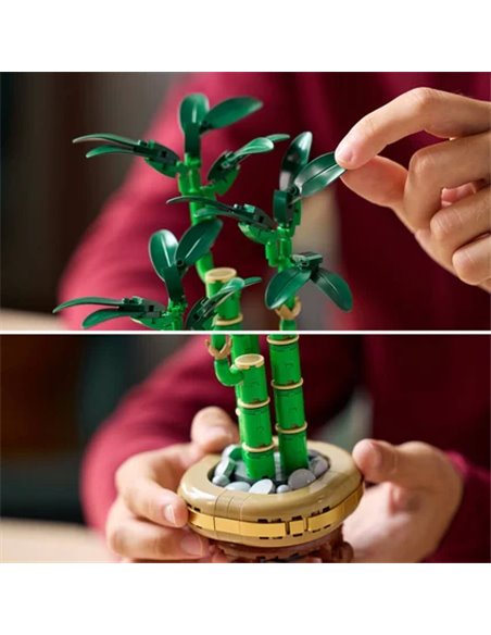 LEGO® BOTANICALS 10344 - LE BAMBOU DE LA CHANCE