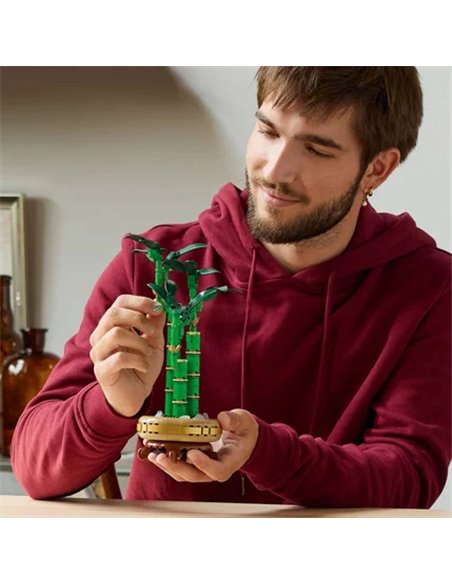 LEGO® BOTANICALS 10344 - LE BAMBOU DE LA CHANCE