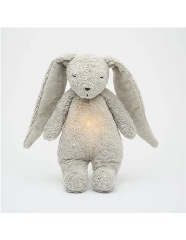  Moonie – lapin nature bio gris