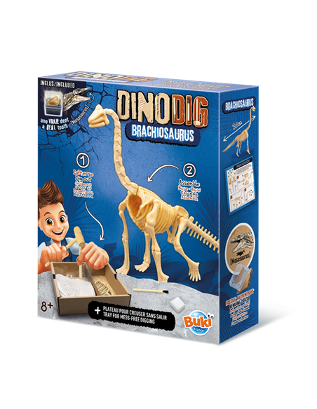 Dino Dig Brachiosaurus