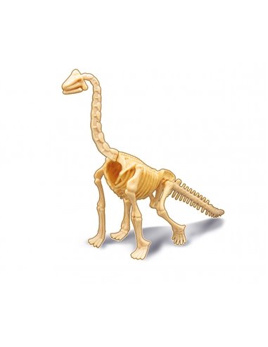 Dino Dig Brachiosaurus