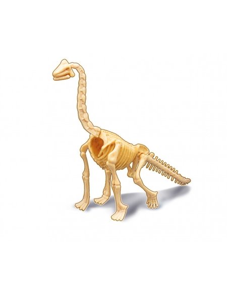 Dino Dig Brachiosaurus