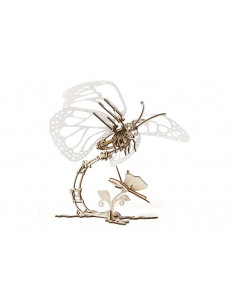 Papillon