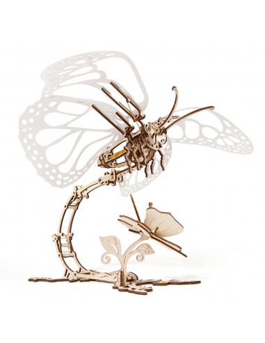 Papillon