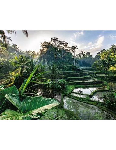 Puzzle Au Cœur de Bali 2000 pièces