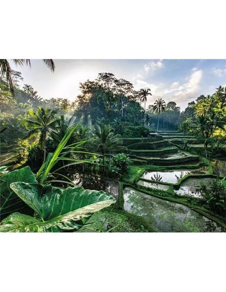 Puzzle Au Cœur de Bali 2000 pièces