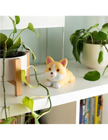 JOUET ANTI-STRESS - STRESS LESS - CORGI - Legami