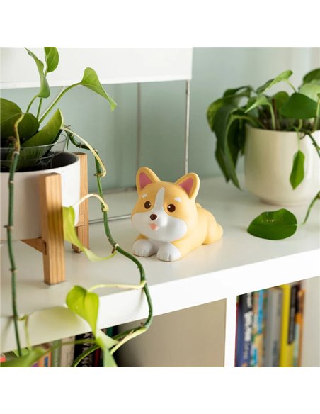 JOUET ANTI-STRESS - STRESS LESS - CORGI - Legami