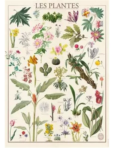 Puzzle Les Plantes muséum national d'histoire naturelle 1500p