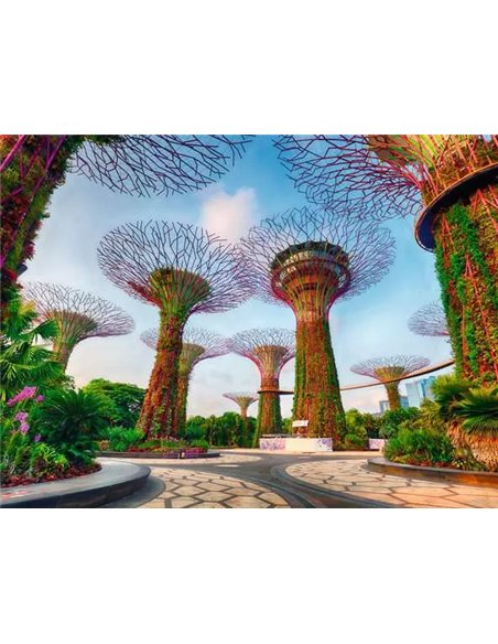 Puzzle Jardin Baie Singapour 1500p