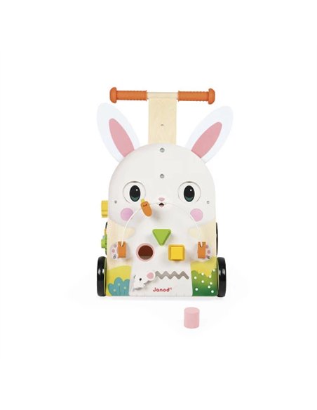 Chariot de Marche Multi-Activités Lapin - Janod
