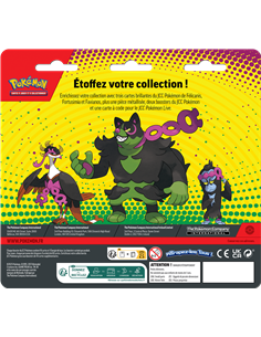 Pokémon : Pack 2 boosters + 3 cartes promo 2
