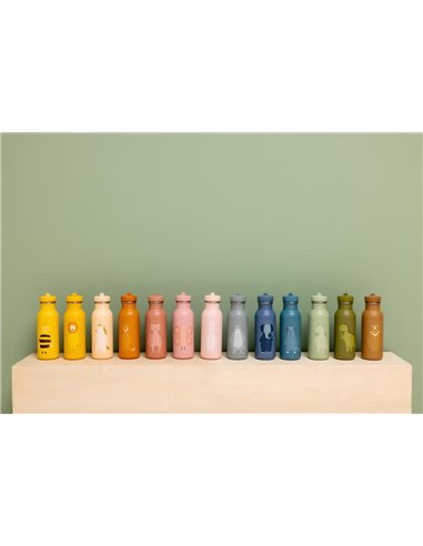 Gourde 500ml - Mr. Lion - Trixie