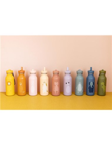Gourde 500ml - Mr. Lion - Trixie