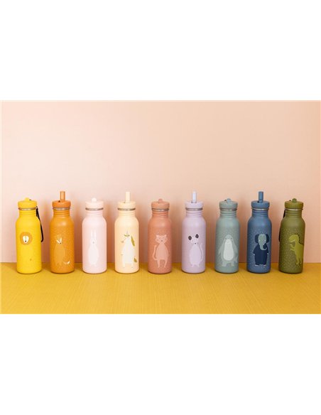 Gourde 500ml - Mr. Lion - Trixie