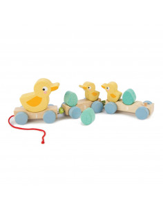 Canard a tirer