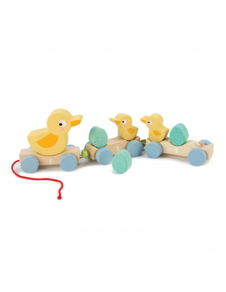 Canard a tirer