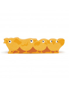 Canards bois