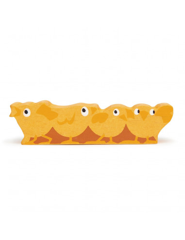 Canards bois