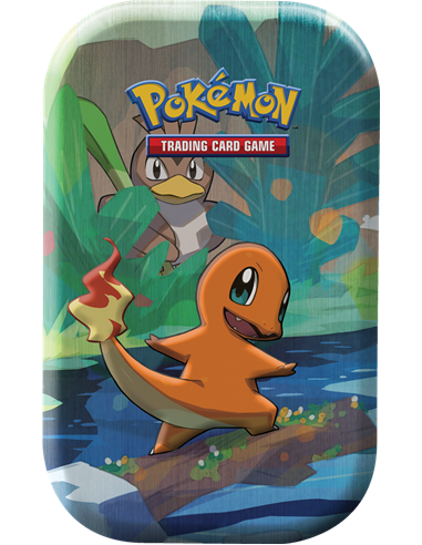 Pokémon : Mini Pokébox Mai 2019