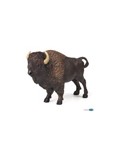Bison d'amérique