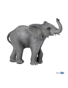 Jeune éléphant