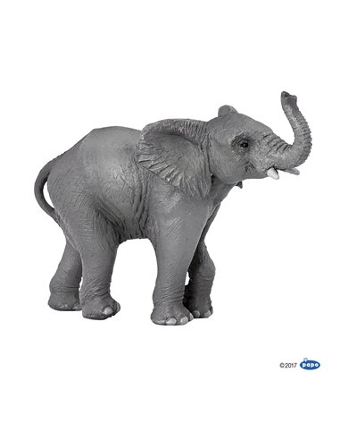 Jeune éléphant