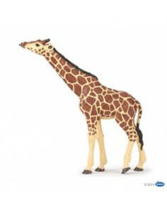 Girafe tête levée