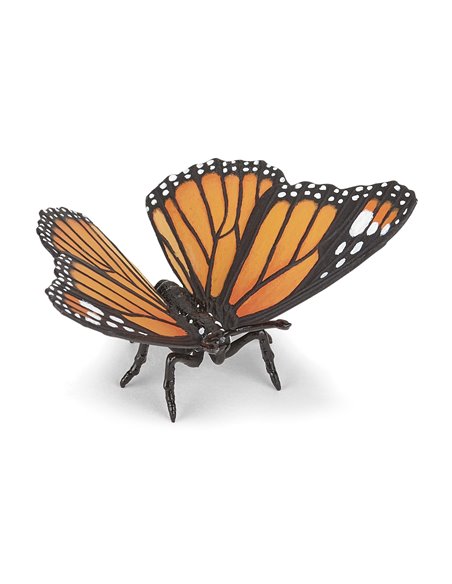 Papillon