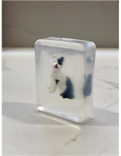 Savon Ludisoap - Chat