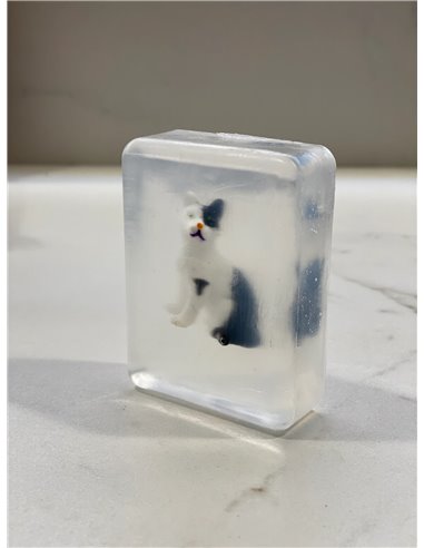 Savon Ludisoap - Chat