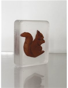 Savon ludisoap- Ecureuil