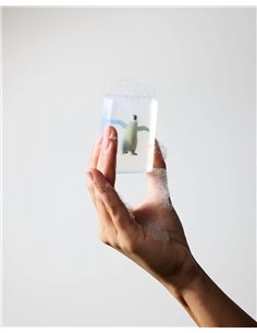 Savon ludisoap - Bébé pingouin