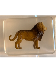Savon ludisoap - Lion