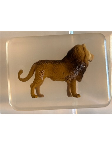 Savon ludisoap - Lion
