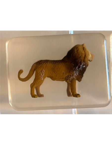 Savon ludisoap - Lion