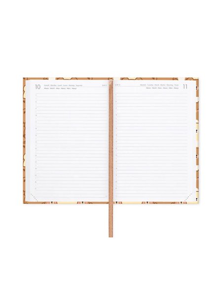Agenda 16 Mois Journalier Photographique teddy bear - Medium - 2025/2026 - Legami