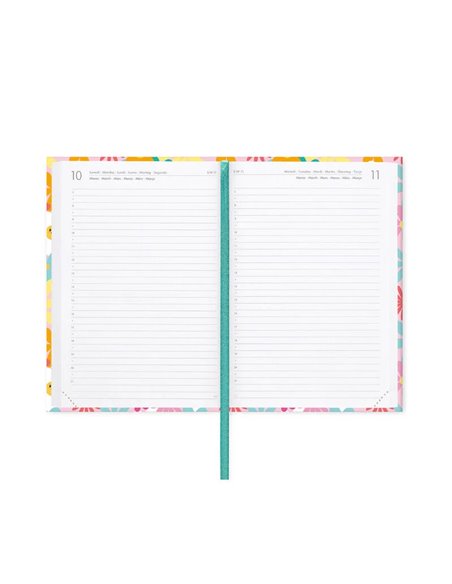 Agenda 16 Mois Journalier Photographique happy daisy - Medium - 2025/2026