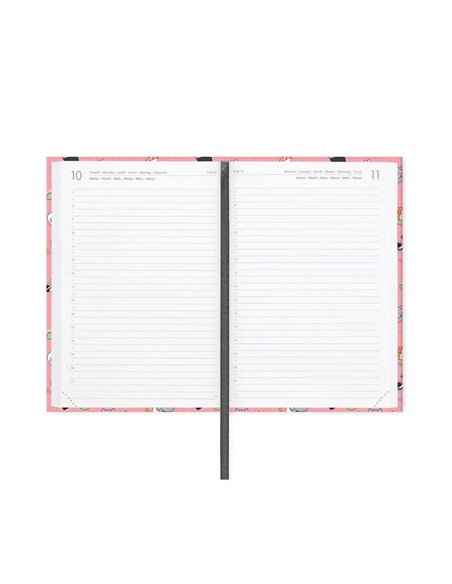 Agenda 16 Mois Journalier Photographique sushicat - Medium - 2025/2026 - Legami