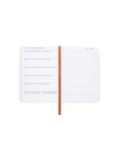Agenda 16 Mois Semainier Photographique teddy bear - Small avec Carnet - 2025/2026 - Legami