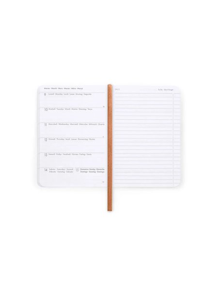 Agenda 16 Mois Semainier Photographique teddy bear - Small avec Carnet - 2025/2026 - Legami