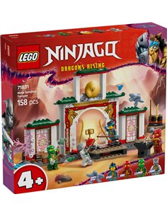 LEGO NINJAGO Temple de Spinjitzu 71831
