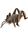Eugy 3D Modèle: ANIMAL SAUVAGE - SAUTERELLE