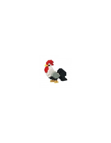 Nanoblock Coq
