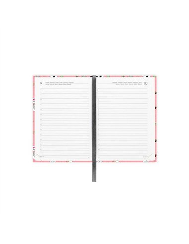 Agenda 16 Mois Journalier Photographique sushicat - Small - 2025/2026 - legami