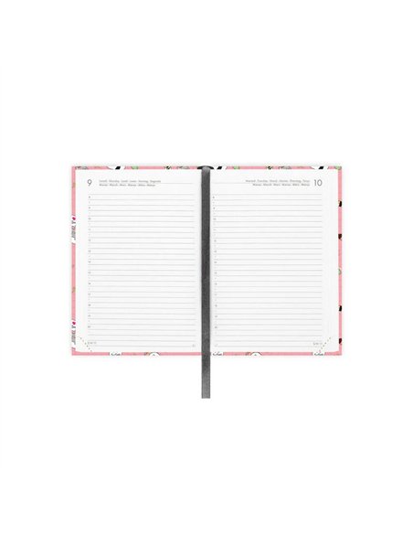 Agenda 16 Mois Journalier Photographique sushicat - Small - 2025/2026 - legami
