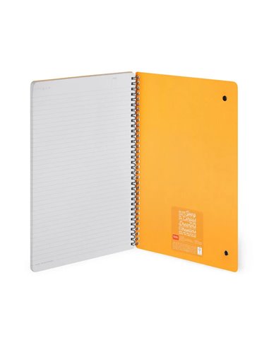 Cahier Ligné - Maxi - à Spirale - Format A4 - panda roux - Legami