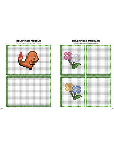 POKEMON COLO PIXELS